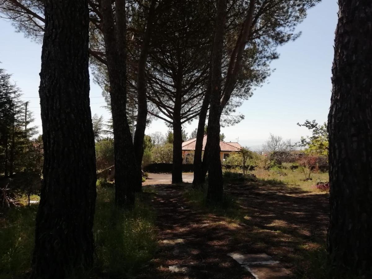 Etna Country Home Nicolosi Exteriér fotografie