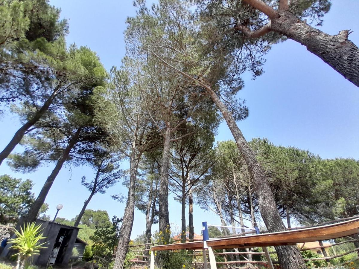 Etna Country Home Nicolosi Exteriér fotografie